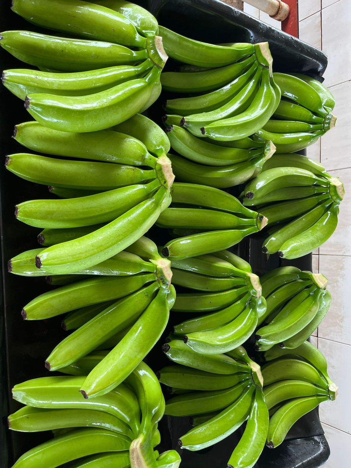 Banano Cavendish Colocha Banana